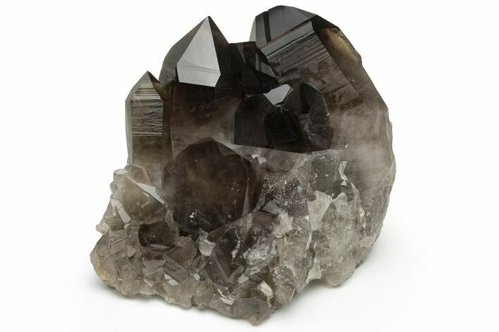 Natural Smoky Quartz Crystal Cluster - Brazil #231302